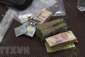 (Ảnh minh họa: TTXVN phát).