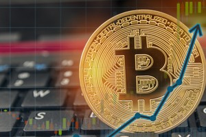 Giá Bitcoin hôm nay ngày 5/11: Kỳ vọng vào kết quả bầu cử sớm công bố, giá Bitcoin phá vỡ đỉnh 14.000 USD