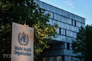 Trụ sở Tổ chức Y tế Thế giới (WHO) tại Geneva, Thụy Sĩ, ngày 17/8/2020. (Ảnh: AFP/TTXVN).