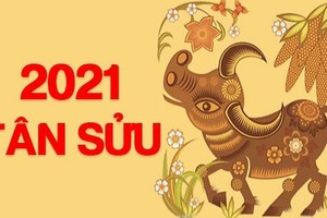 [Infographics] Lịch nghỉ Tết Nguyên đán Tân Sửu 2021