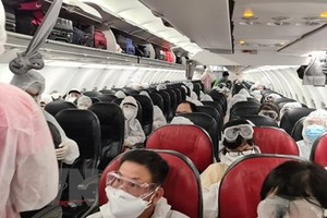 Ảnh minh họa. (Nguồn: TTXVN).