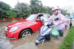 Năm 2020 là một năm hết sức đặc biệt cho vấn đề biến đổi khí hậu và ESG.