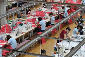 May Sông Hồng vững vàng trước thử thách