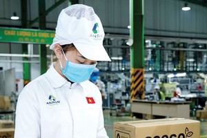 Nhà máy sản xuất bao bì của Tập đoàn An Phát Holdings.