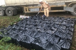 77 thùng chứa 462 chai rượu ngoại Chivas 21 không rõ nguồn gốc bị bắt tại hiện trường.