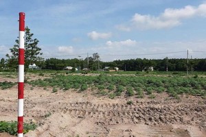 Dự án ma của Công ty Cổ phần địa ốc Alibaba tại xã Châu Pha, thị xã Phú Mỹ, tỉnh Bà Rịa-Vũng Tàu. (Ảnh: Huỳnh Sơn/TTXVN).