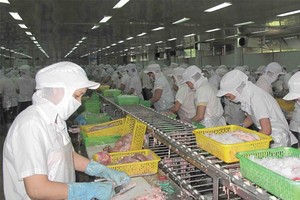 Công nghiệp chế biến là lĩnh vực được tỉnh An Giang khuyến khích đầu tư.