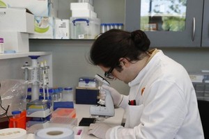 Các nhà khoa học Anh vẫn đang nghiên cứu về các biến thể mới của virus gây Covid-19. (Ảnh: AFP).