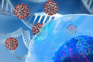 (Ảnh minh họa: KT)