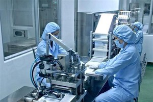 (Ảnh minh họa: Thế Anh/TTXVN).