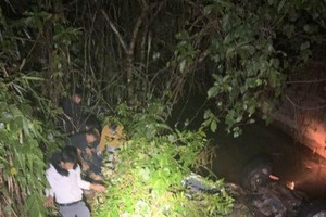 Xe bán tải lao xuống vệ đường, 2 người tử vong