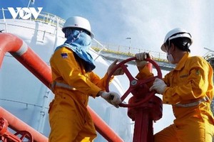 Công ty Khí Cà Mau là đơn vị có mức thưởng Tết cao nhất - 46 triệu đồng.