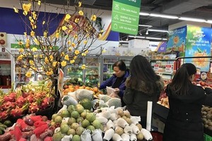 Lượng hàng phục vụ Tết Nguyên đán sắp tới tại nhiều doanh nghiệp tăng từ 2-3 lần. (Ảnh: Đức Duy/Vietnam+).