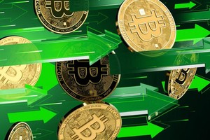 Giá Bitcoin hôm nay ngày 29/1: Bitcoin hồi phục trở lại trên mốc 33.000 USD, tuy nhiên đồng Dogecoin tăng trưởng hơn 500% mới là tâm điểm của sự chú ý