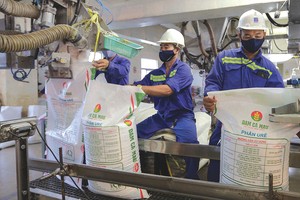 Doanh nghiệp niêm yết triển khai kế hoạch kinh doanh ngay sau kỳ nghỉ Tết