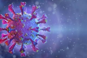 Ảnh minh họa: Shutterstock.