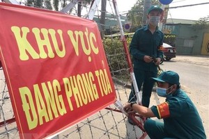 (Ảnh minh họa: Văn Hướng/TTXVN).