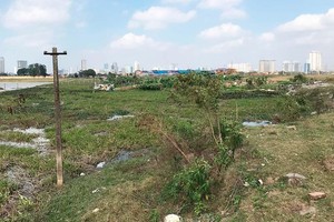 Việc kéo dài thời gian giải quyết kiến nghị của doanh nghiệp khiến hàng chục héc-ta đất của Hà Nội bị bỏ hoang rất lãng phí.