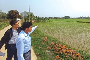 Môi giới dẫn khách hàng xem đất tại khu vực Đồng Trúc - Thạch Thất. Ảnh: Dũng Minh.