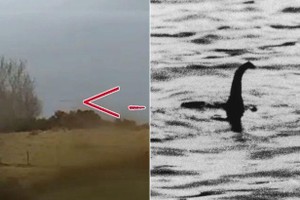 Chưa bao giờ quái vật hồ Loch Ness lại xuất hiện nhiều như trong năm 2021