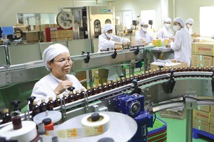 Quý I/2021, ước doanh thu và lợi nhuận của Traphaco tăng 20% và 33% so với cùng kỳ 2020. Ảnh: Dũng Minh.