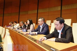 Đại biểu Quốc hội biểu quyết. (Ảnh: Phương Hoa/TTXVN).