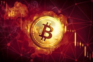 Giá Bitcoin hôm nay ngày 20/4: Thị trường đỏ lửa khi giá Bitcoin tiếp tục giảm mạnh, giới đầu tư háo hức đợi ngày DogeDay