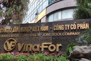 Vinafor sở hữu nhiều lô đất vàng tại Hà Nội. Ảnh: Dũng Minh.