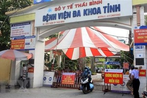 (Ảnh minh họa: Thế Duyệt/TTXVN).