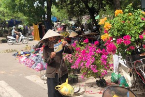 Tham gia BHXH tự nguyện để có lương hưu và thẻ BHYT chăm sóc sức khỏe khi về già (nguồn: BHXH Bắc Giang).