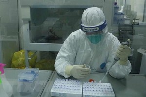 Xét nghiệm COVID-19. (Ảnh: Thanh Thương/TTXVN).