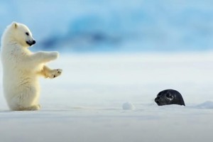 Xin chào bạn, có phải mình là người bạn đang tìm kiếm?