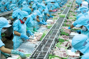 Doanh nghiệp thủy sản trên đà hồi phục