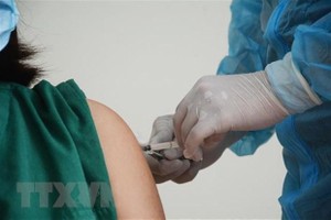 Tiêm vaccine phòng COVID-19. (Ảnh: Văn Dũng/TTXVN).
