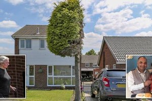 Người hàng xóm cục cằn: Cắt trụi một nửa cái cây bởi vì cảm thấy bị làm phiền