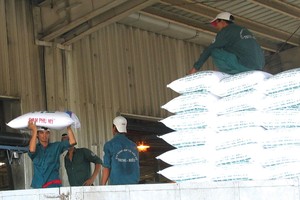 Nhà máy Đạm Phú Mỹ đang vận hành liên tục ở mức công suất tối đa.