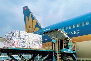 Để có nguồn thu, các tàu thân rộng của Vietnam Airlines đều được tháo ghế để chở hàng.