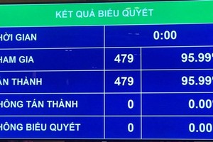 Quốc hội đồng ý Chính phủ nhiệm kỳ mới có 27 thành viên