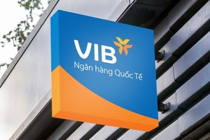Các nhà phân tích đánh giá cao VIB trong buổi công bố kết quả kinh doanh quý II/2021
