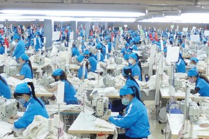 Doanh nghiệp niêm yết thích ứng và chờ cơ hội