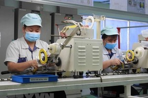 (Ảnh minh họa: Thái Hùng/TTXVN).