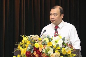 Ông Lê Hải Bình phát biểu nhận nhiệm vụ.