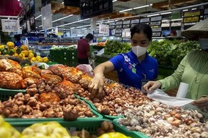 Mua sắm tại một siêu thị ở Kiên Giang. (Nguồn: TTXVN).