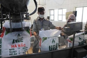 Đạm Hà Bắc (DHB) chìm trong thua lỗ