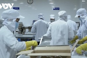 Bà Rịa - Vũng Tàu sẽ cho một số ngành nghề hoạt động trở lại từ ngày 15/9.