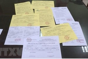 Ảnh minh họa. (Ảnh: TTXVN phát).