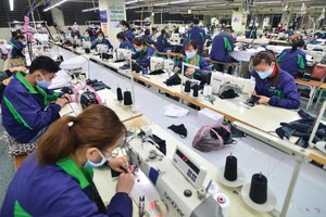 Đơn hàng của TNG tăng mạnh khi đại dịch Covid-19 bùng phát tại các tỉnh phía Nam.