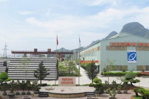 Ảnh: Việt Dũng.