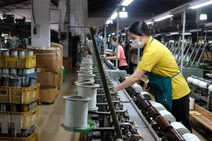 (Ảnh minh họa. Nguyễn Dũng/TTXVN).