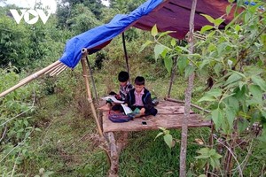 Học sinh vùng cao "hứng sóng" học online.
